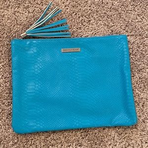 Rodan + Fields Turquoise clutch - large